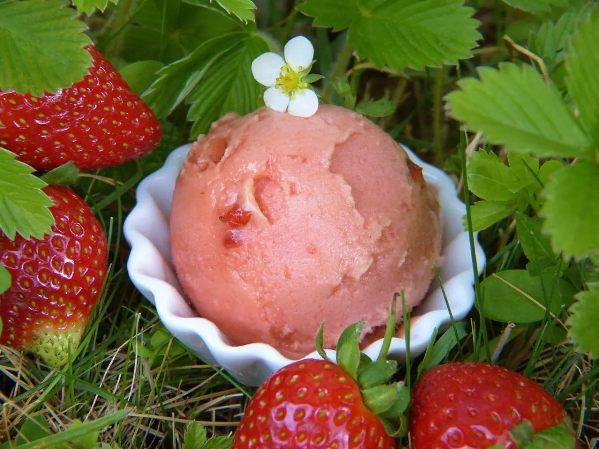 glace fraises, La cuisine de Laude